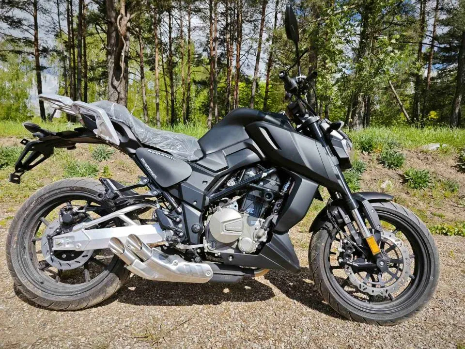 МОТОЦИКЛ REGULMOTO ALIEN MONSTER 300