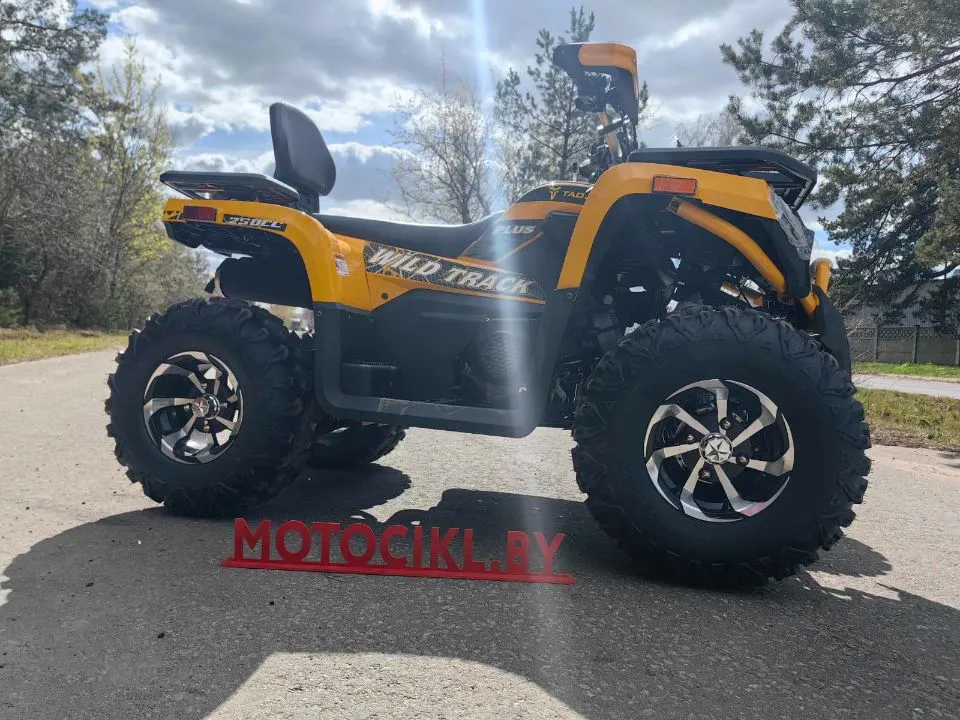 КВАДРОЦИКЛ MOTOLAND VOX250 WILD TRACK X PLUS