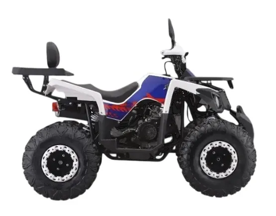 КВАДРОЦИКЛ AVM THUNDER 200