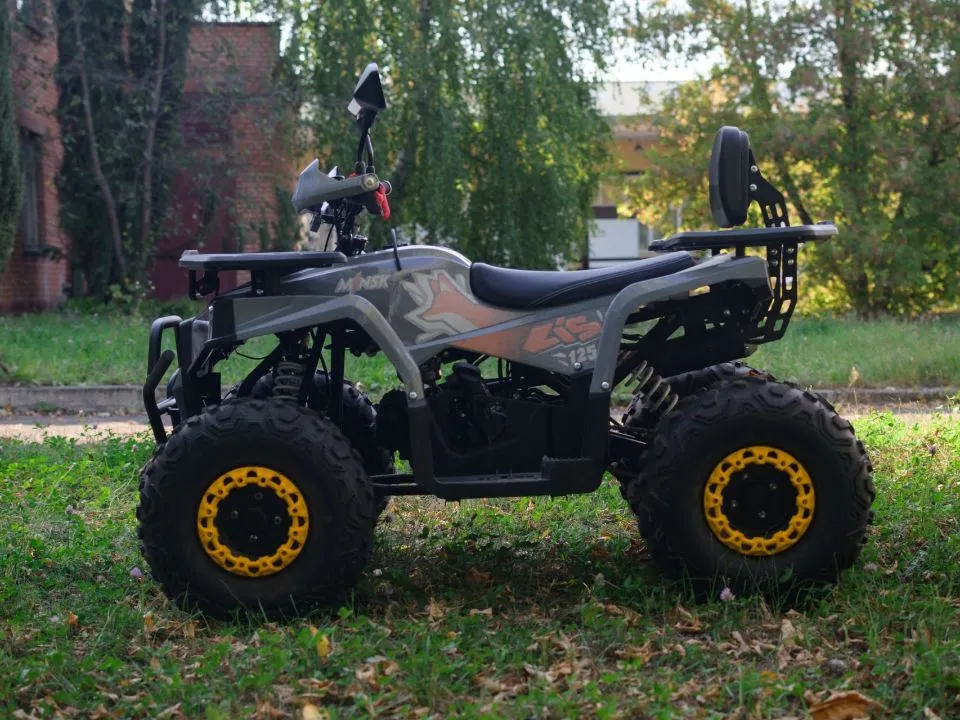 КВАДРОЦИКЛ ДЕТСКИЙ МИНСК LIS 125